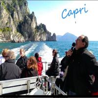images/banners/visitatori2/Capri_1_InPixio.jpg