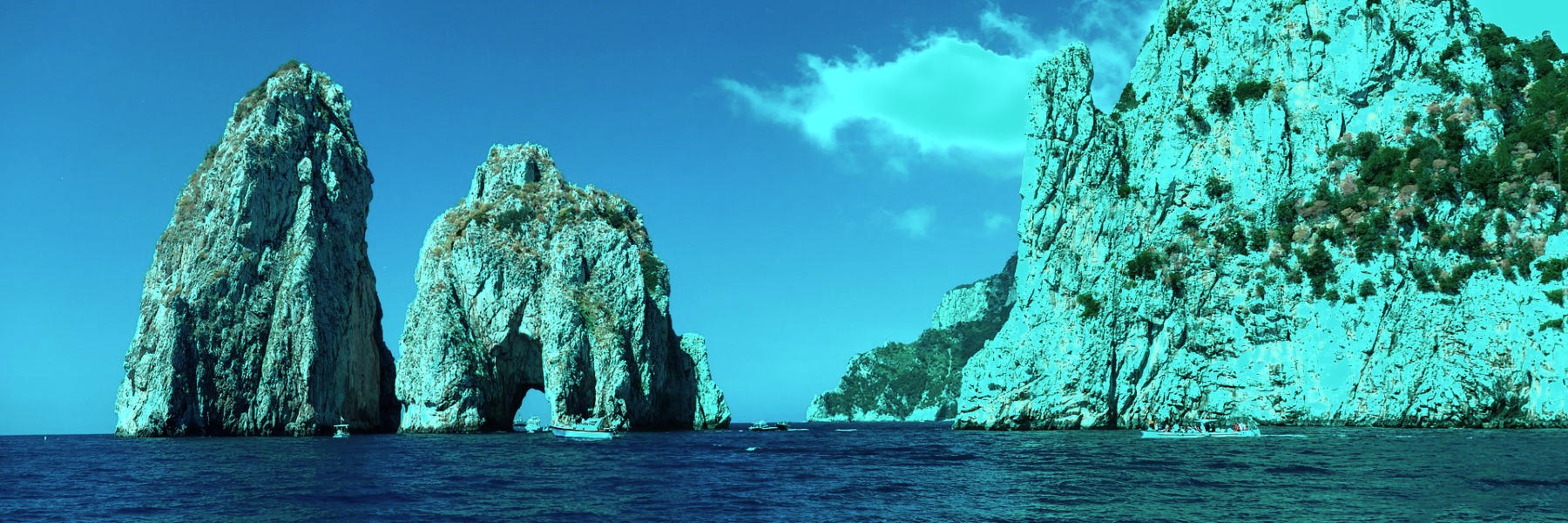 CAPRI